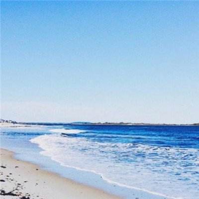 BOB体育综合官方平台APP