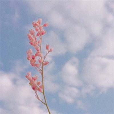 网赌软件在线下载