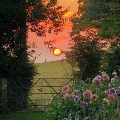 开云·体育(kaiyun)app下载